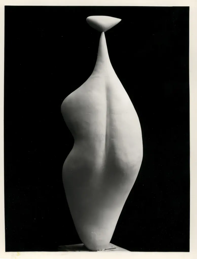 Anonimo, Anonimo , fronte