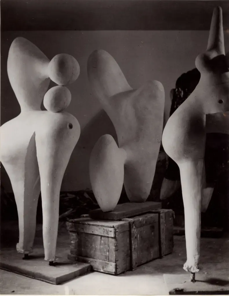 Anonimo, Anonimo , fronte