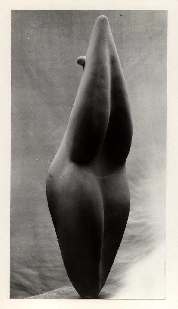 Interfoto , fronte
