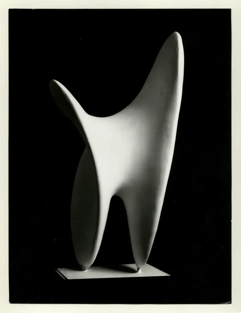 Anonimo, Anonimo , fronte