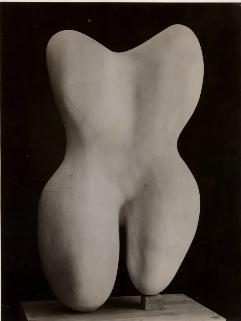 Anonimo, Anonimo , fronte