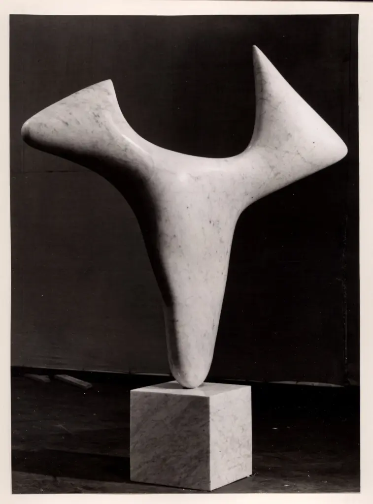 Anonimo, Anonimo , fronte