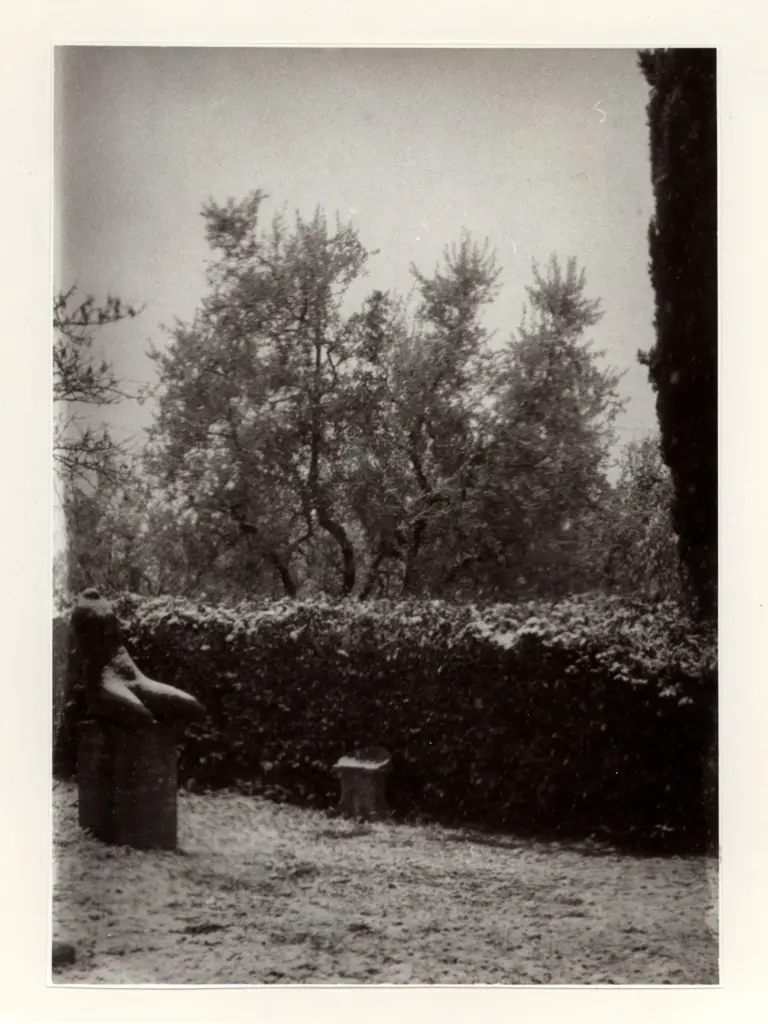 Anonimo, Anonimo , fronte