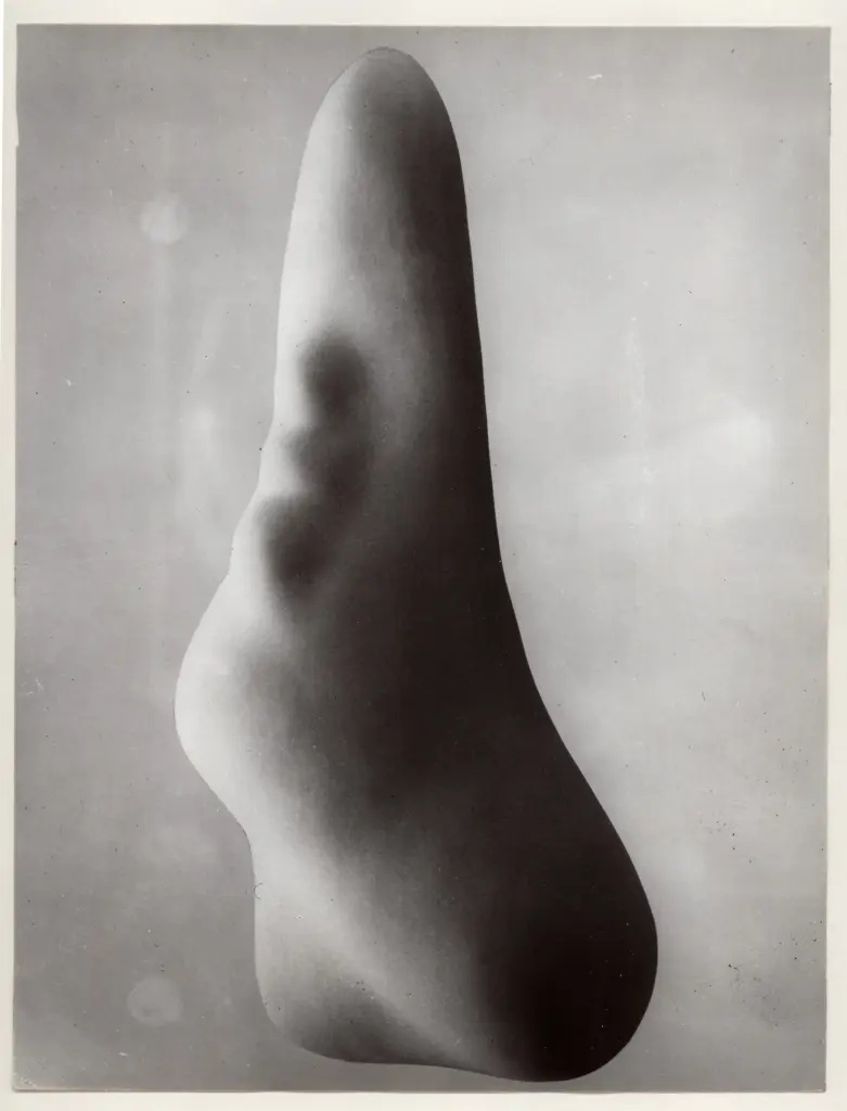 Anonimo, Anonimo , fronte