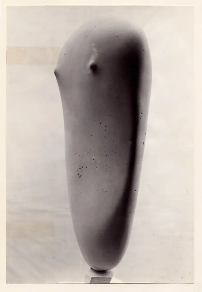 Cameraphoto , fronte