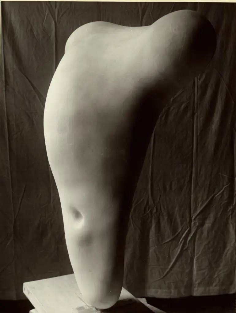 Anonimo, Anonimo , fronte