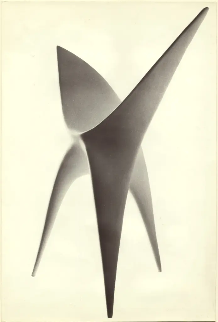 Anonimo, Anonimo , fronte