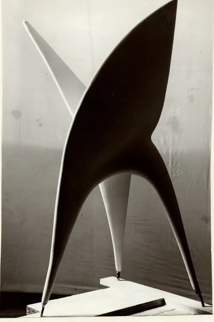 Cameraphoto , fronte