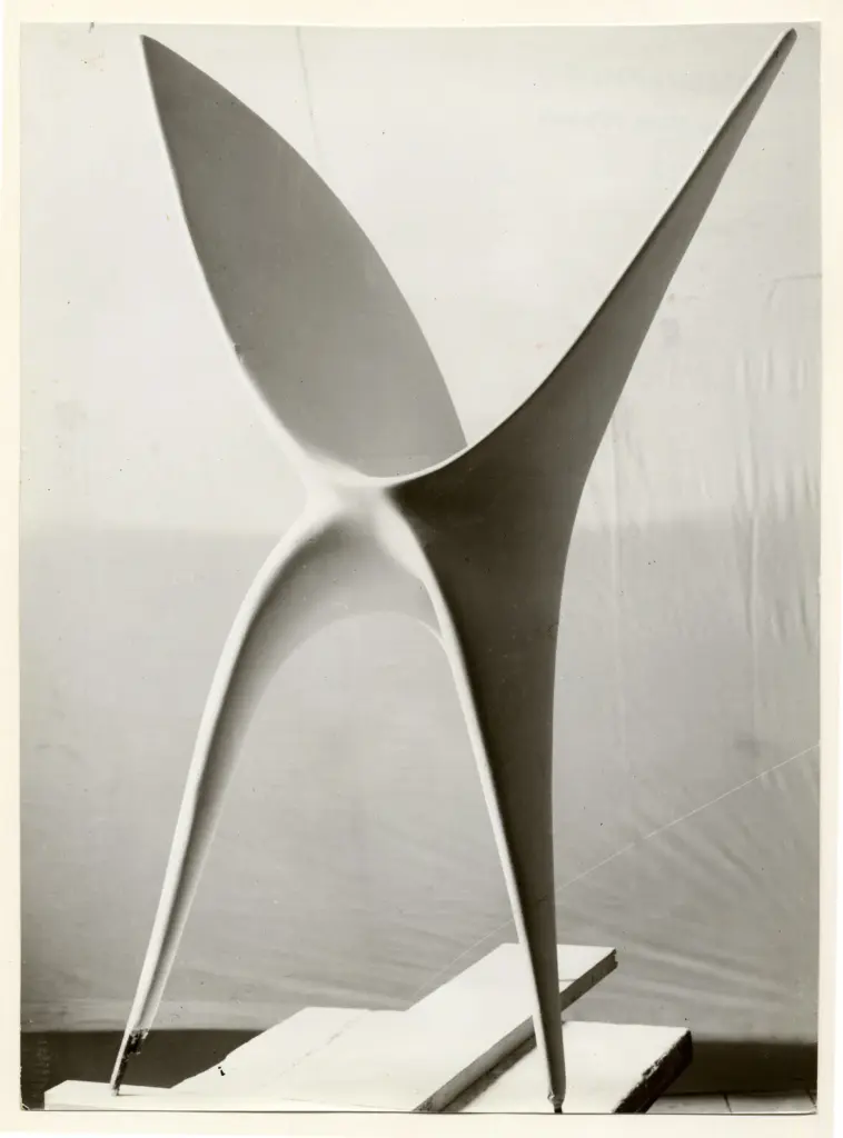 Cameraphoto , fronte