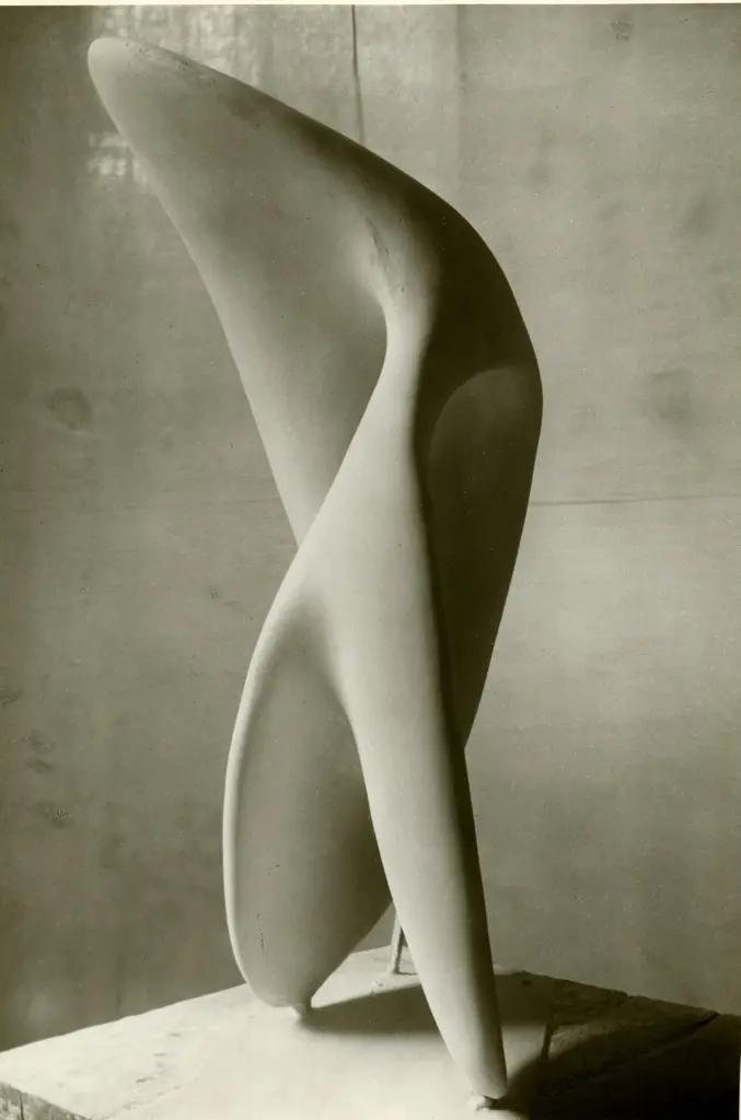 Cameraphoto , fronte