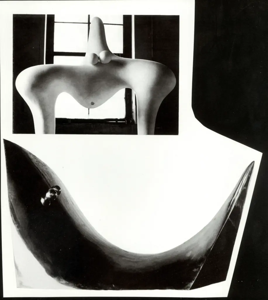 Anonimo, Anonimo , fronte