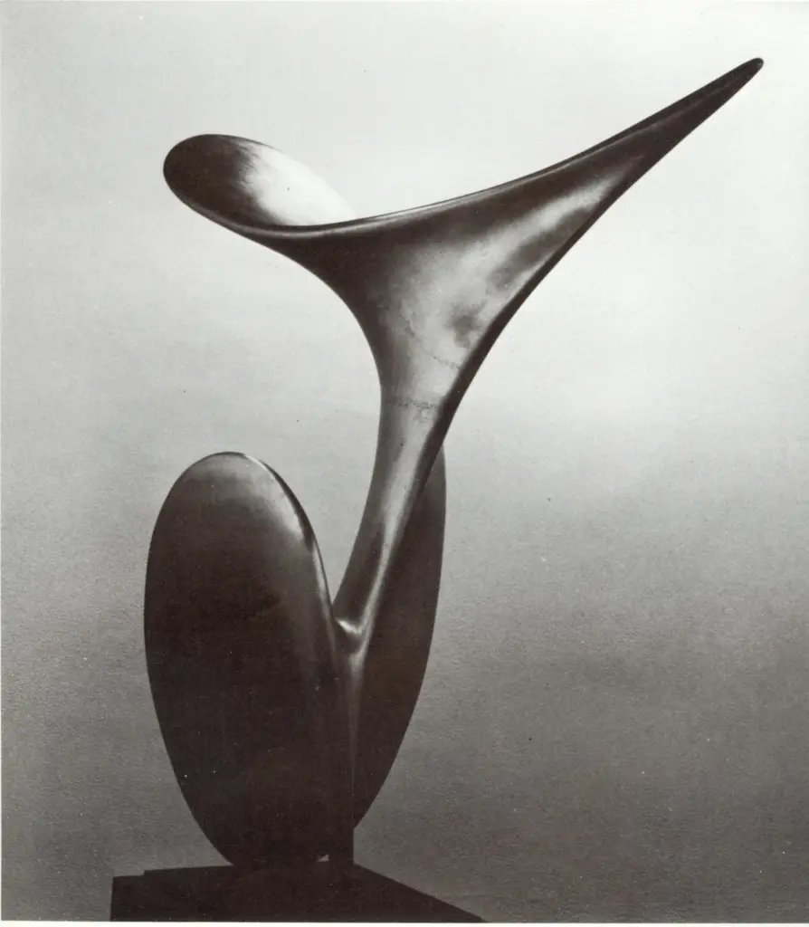 Anonimo, Anonimo , fronte