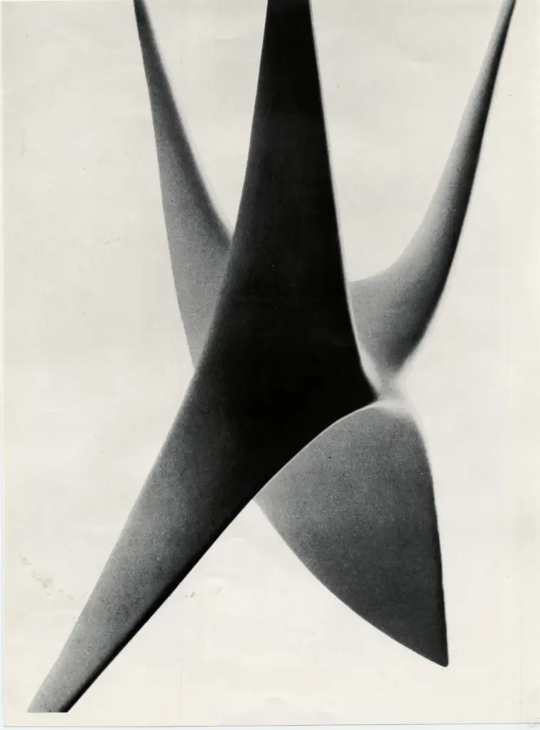 Anonimo, Anonimo , fronte