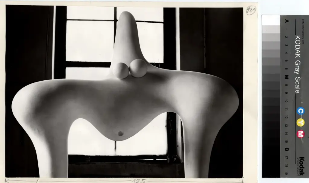 Cameraphoto , fronte