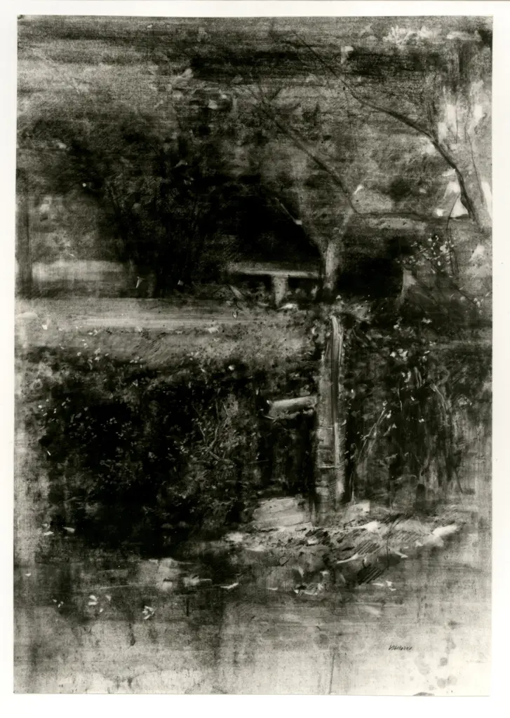 Vignozzi, Piero , Giardino di Villa Le Rondini