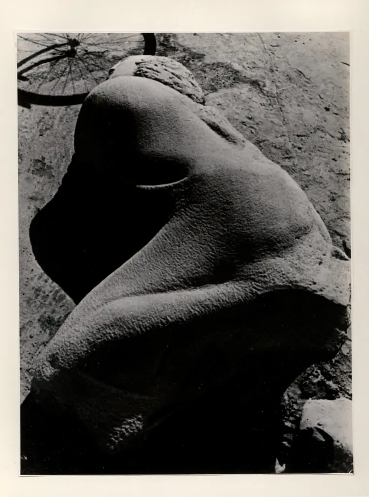 Anonimo, Anonimo , fronte