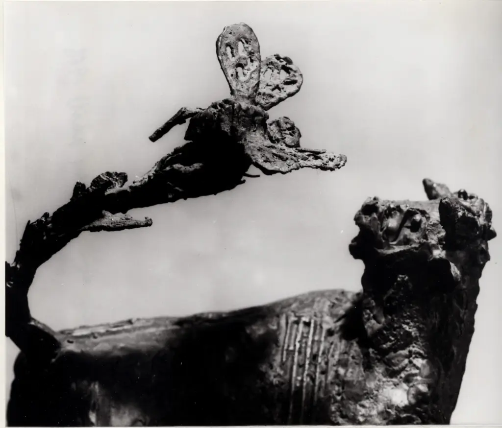 Anonimo, Anonimo , fronte