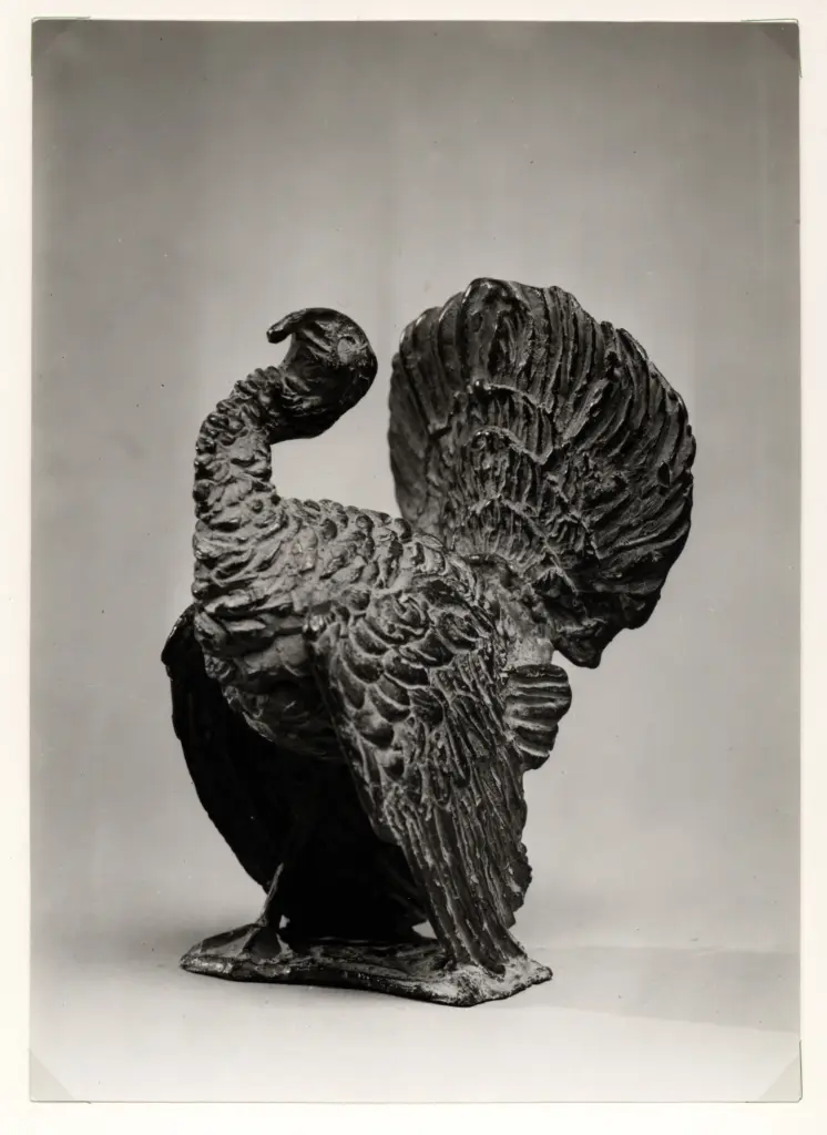 Anonimo, Anonimo , fronte