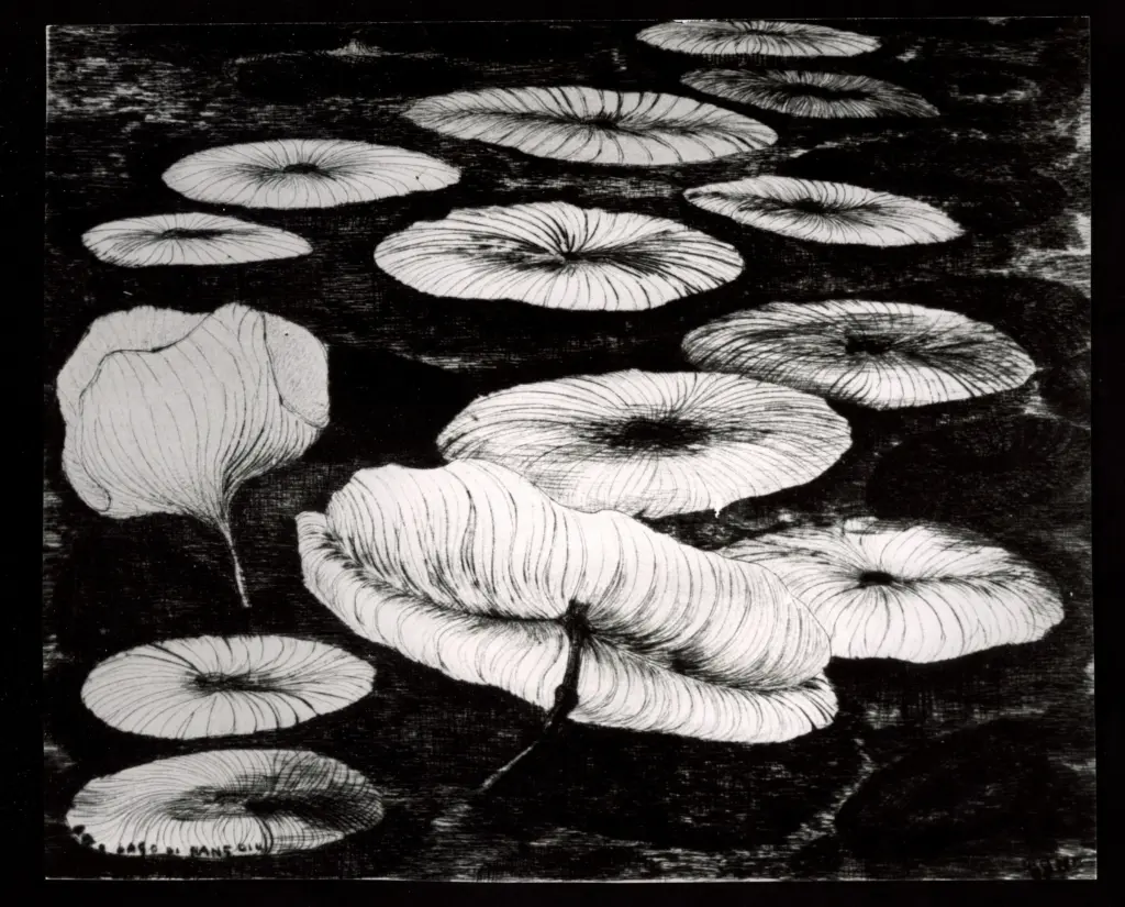 Anonimo , Zancanaro, Antonio - sec. XX - Loto nel lago d'Hang-Ciu , fronte