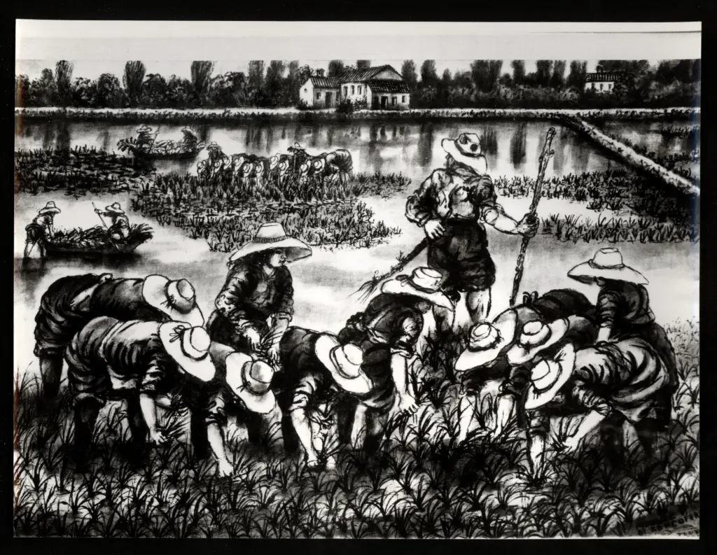 Anonimo , Zancanaro, Antonio - sec. XX - Mondine di Roncoferrato , fronte