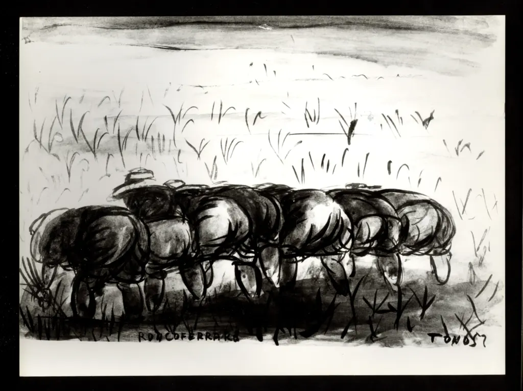 Anonimo , Zancanaro, Antonio - sec. XX - Roncoferrato , fronte