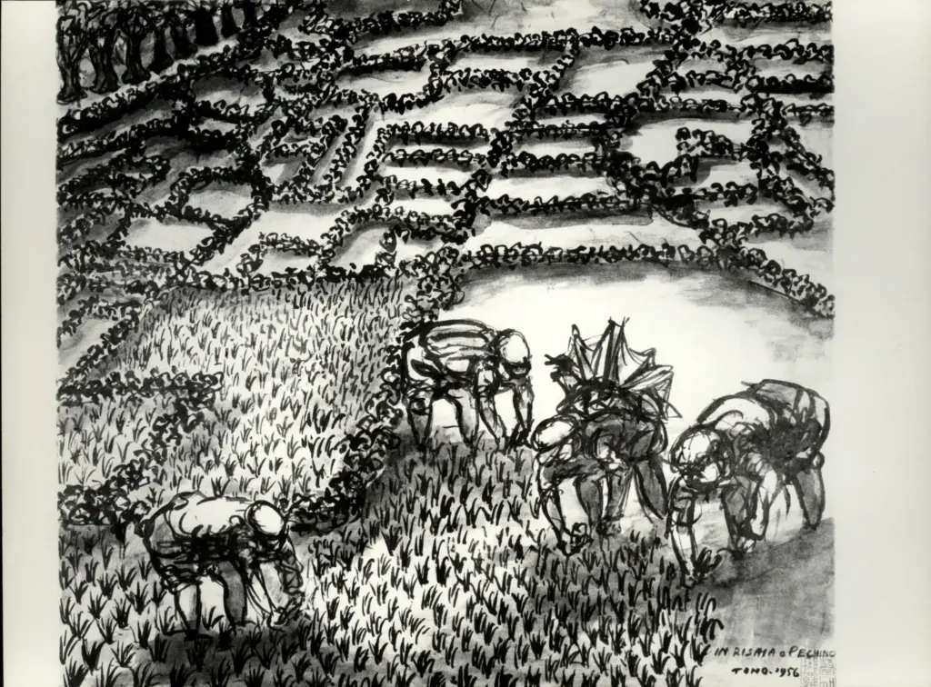 Anonimo , Zancanaro, Antonio - sec. XX - In risaia a Pechino , fronte