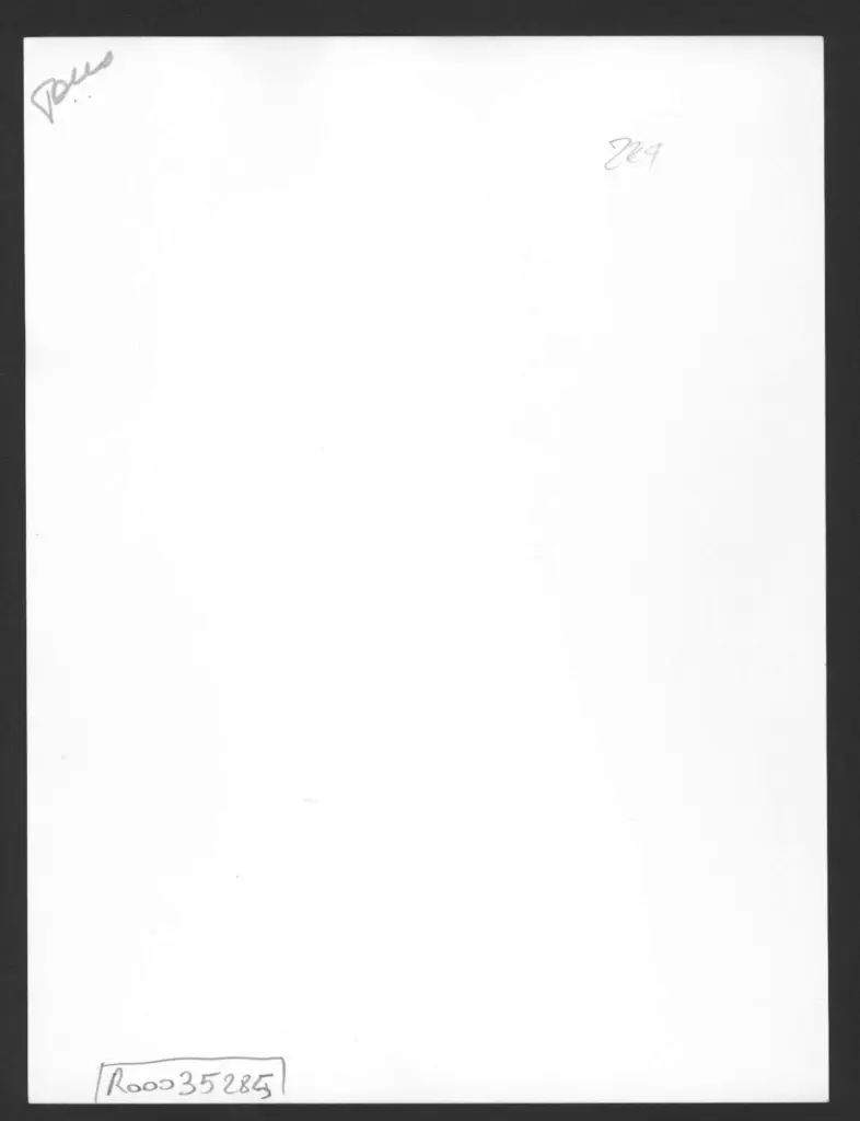 Anonimo , Zancanaro, Antonio - sec. XX - Levana , retro