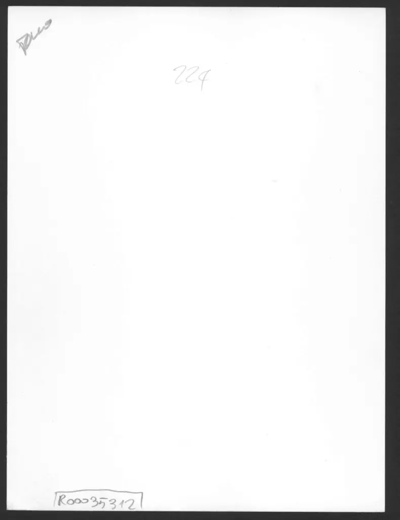 Anonimo , Zancanaro, Antonio - sec. XX - Levana , retro