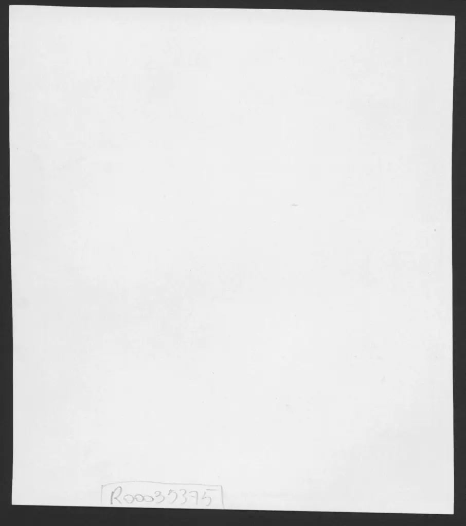 Anonimo , Zancanaro, Antonio - sec. XX - Figure maschili e femminili con vasi e ghirlande fiorite