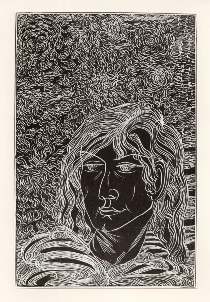 Anonimo , Zancanaro, Antonio - sec. XX - PA XXXIII. Dante crolla nella luce