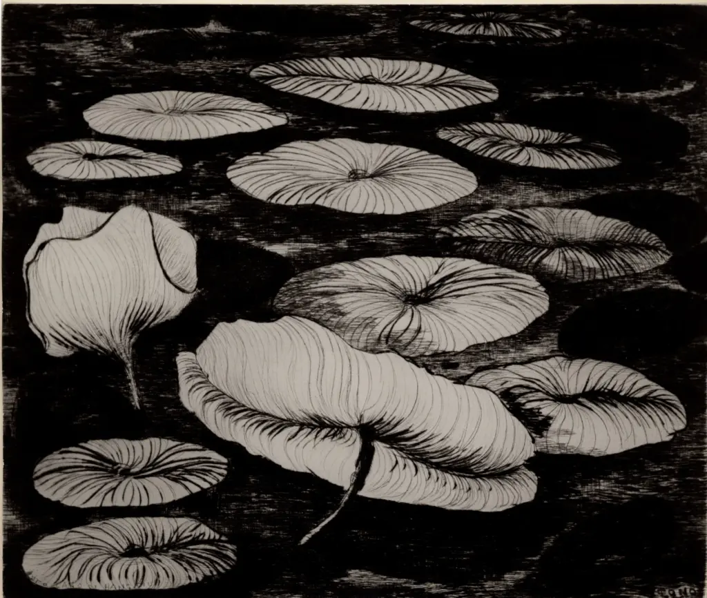 Anonimo , Zancanaro, Antonio - sec. XX - Lago con ninfee