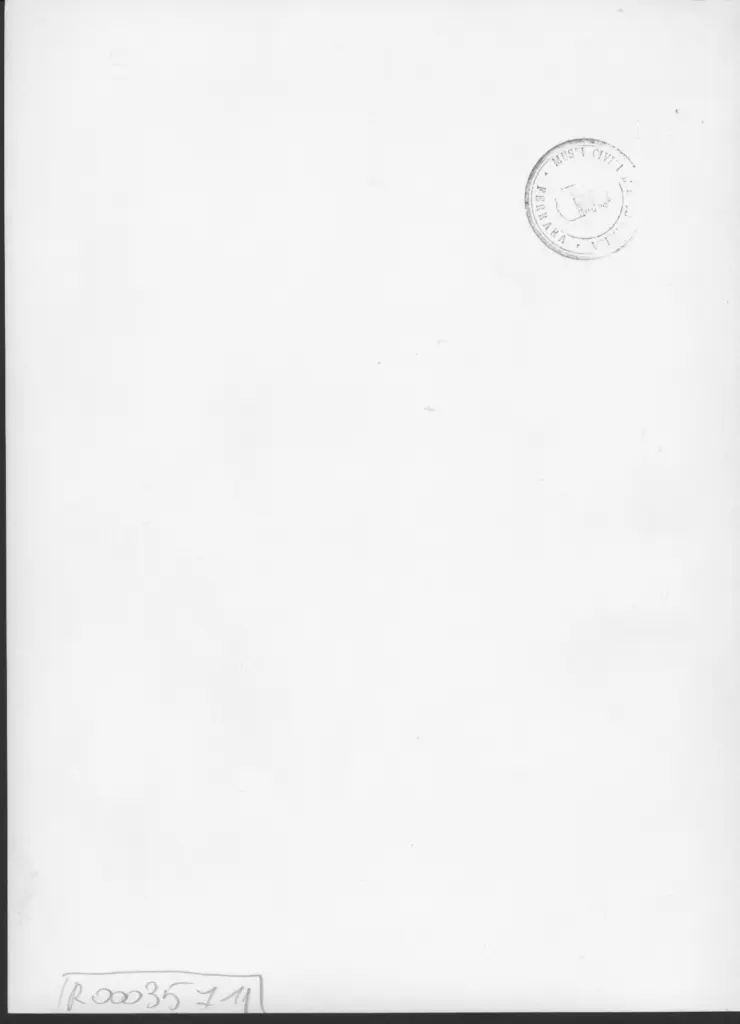 Anonimo , Zancanaro, Tono - sec. XX - La Statua , retro