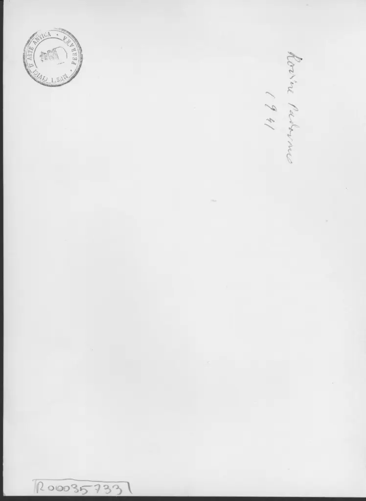 Anonimo , Zancanaro, Antonio - sec. XX - Rovine Padovane , retro