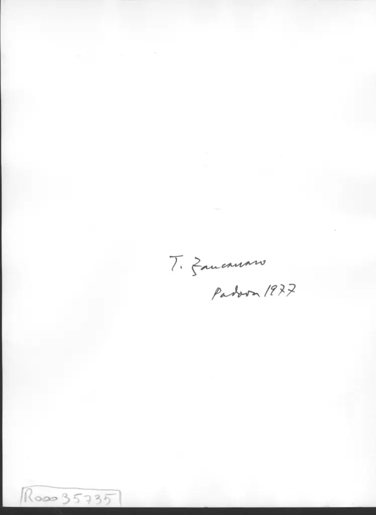 Anonimo , Zancanaro, Antonio - sec. XX - Artista che dipinge , retro