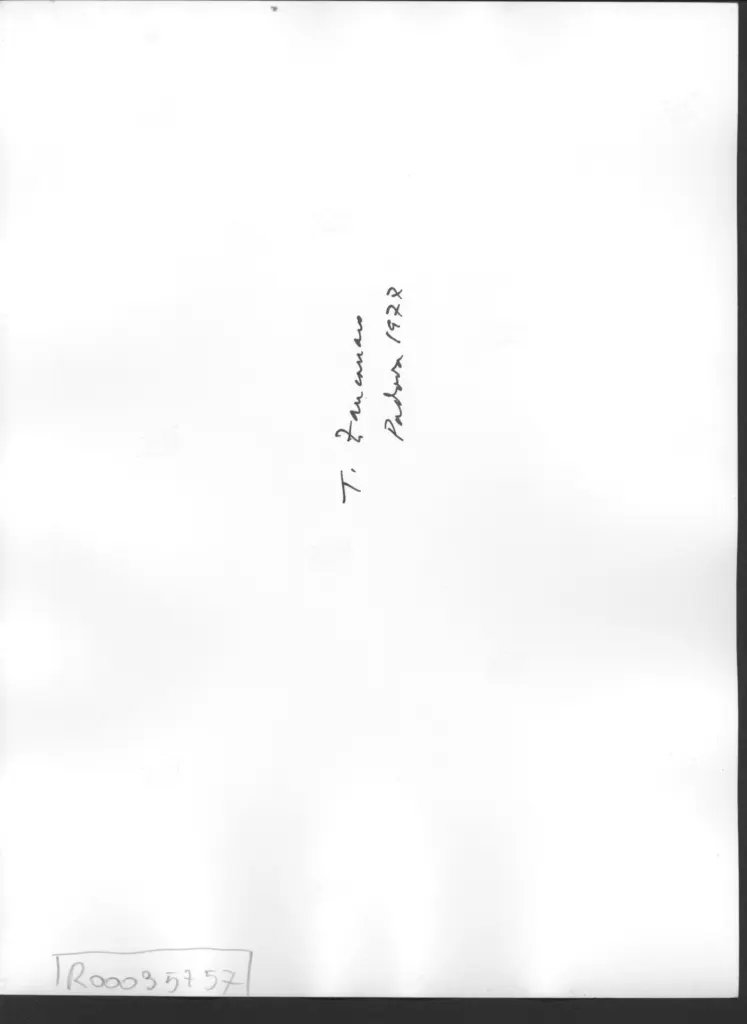 Anonimo , Zancanaro, Antonio - sec. XX - Foto di un'opera poggiata sulla parete , retro