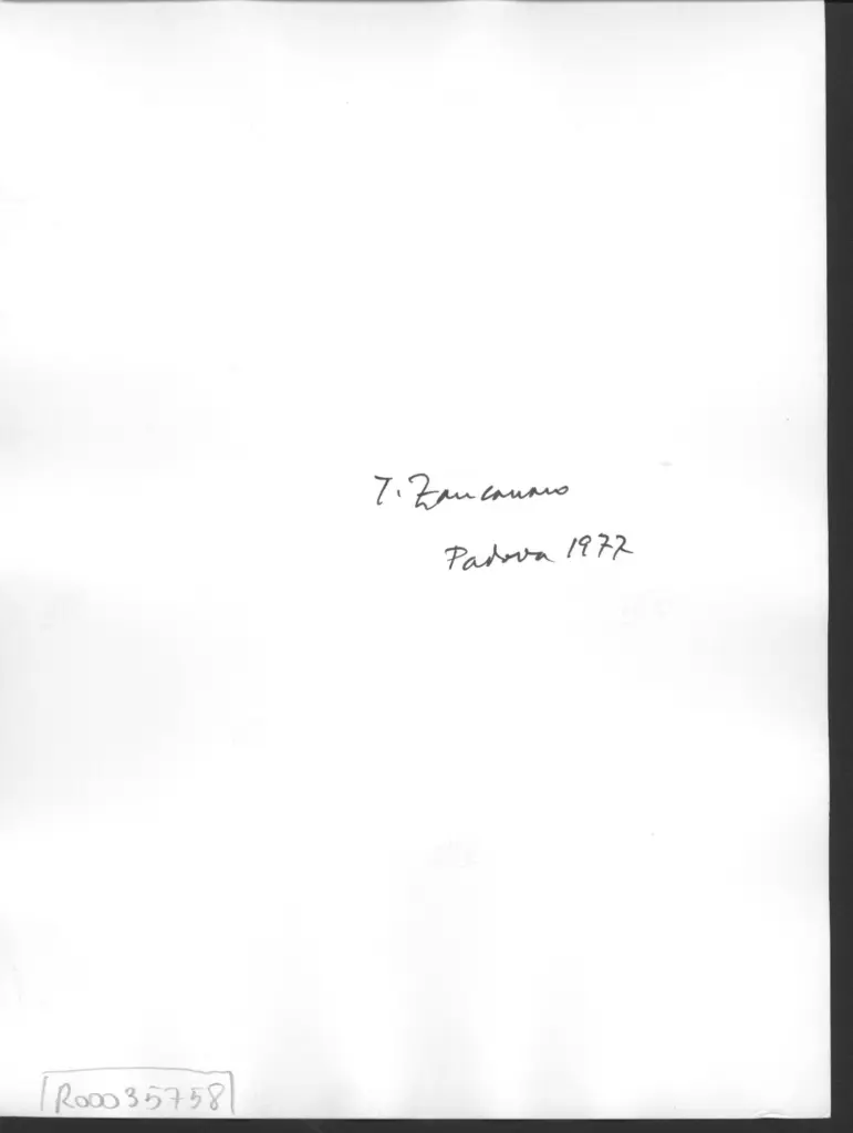 Anonimo , Zancanaro, Antonio - sec. XX - Artista mentre completa l'opera , retro