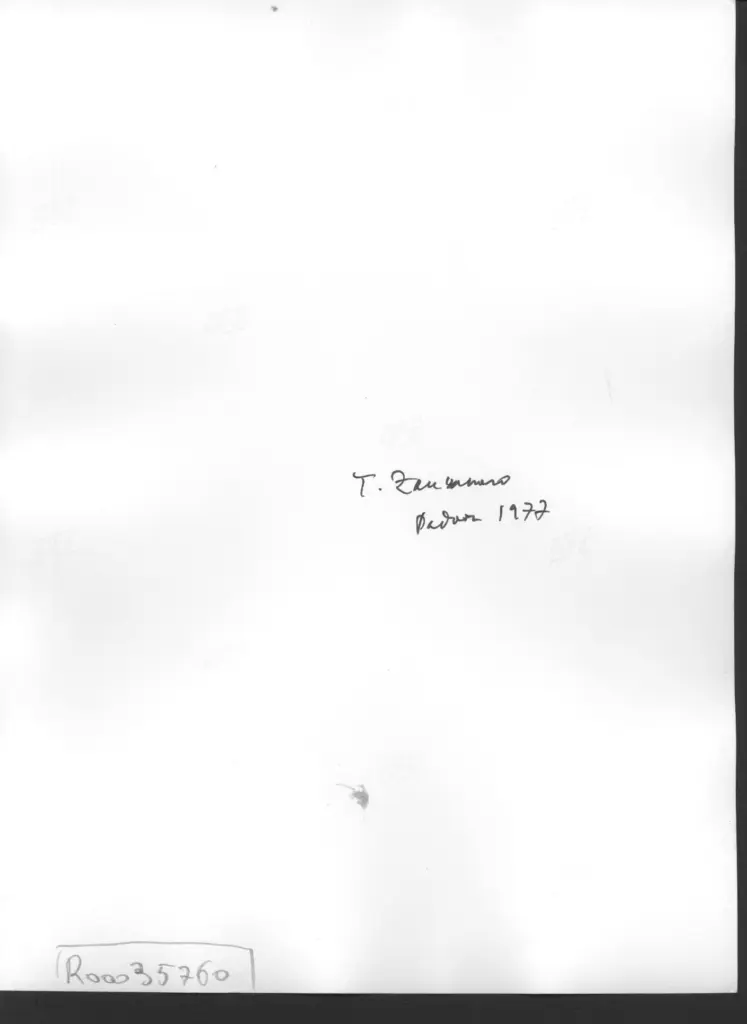 Anonimo , Zancanaro, Antonio - sec. XX - Artista che dipinge , retro