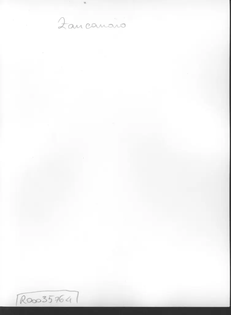 Anonimo , Zancanaro, Antonio - sec. XX - AutoTono , retro