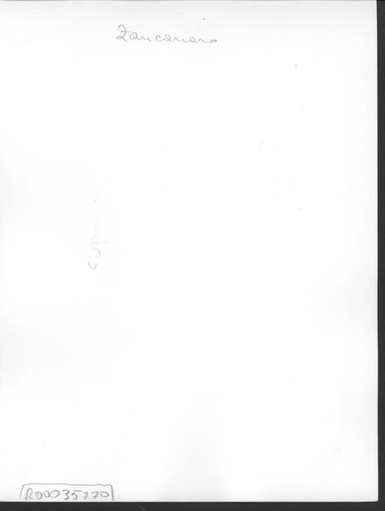 Anonimo , Zancanaro, Antonio - sec. XX - AutoTono 5 , retro