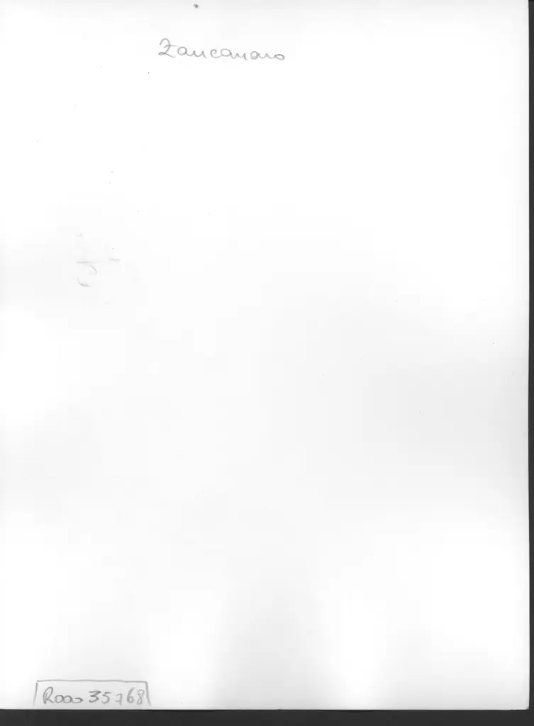 Anonimo , Zancanaro, Antonio - sec. XX - AutoTono 3 , retro