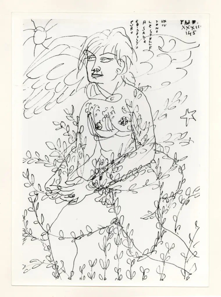 Anonimo , Zancanaro, Antonio - sec. XX - Puro e disposto a salir le stelle , fronte