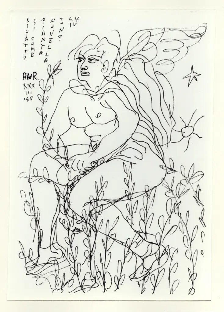 Anonimo , Zancanaro, Antonio - sec. XX - Rifattosi come pianta novella , fronte