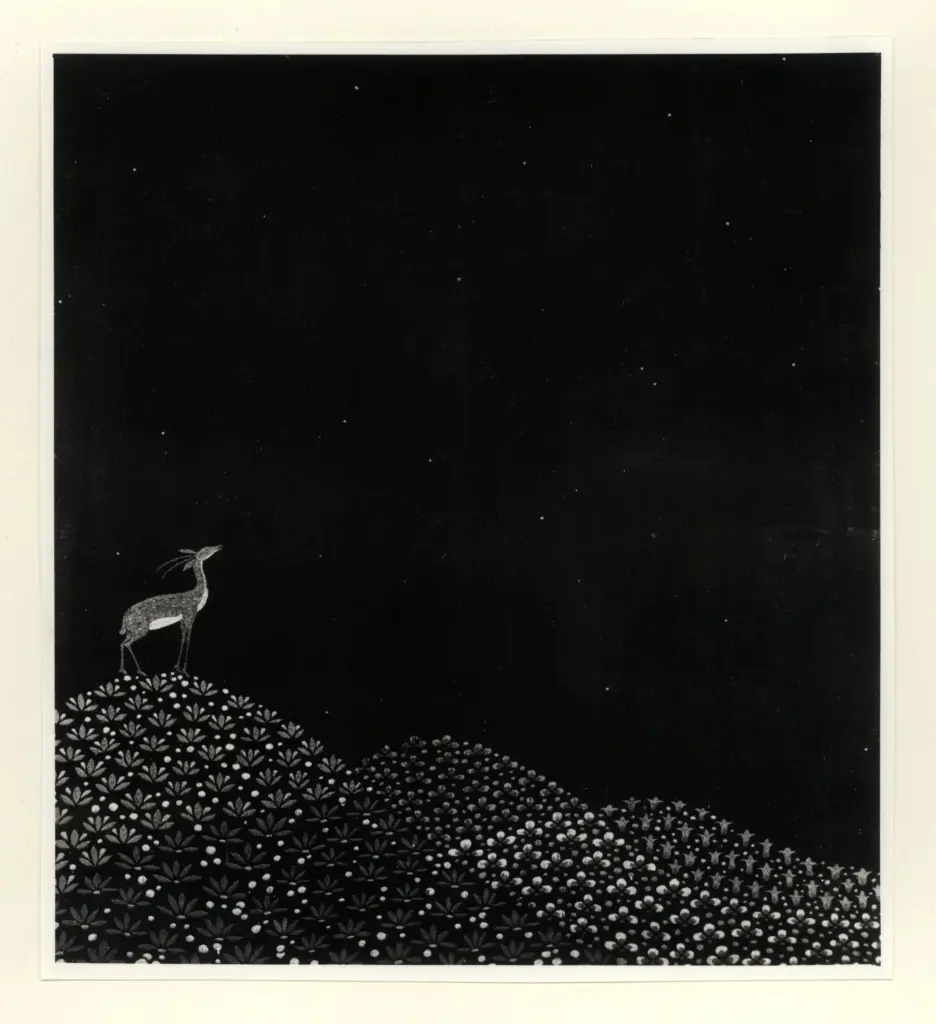 Anonimo, Anonimo , fronte