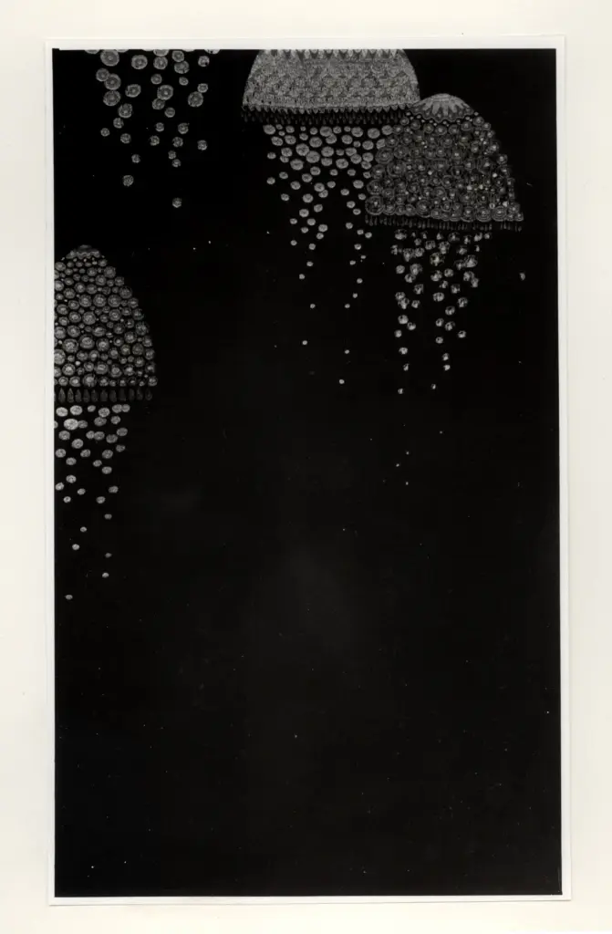 Anonimo, Anonimo , fronte