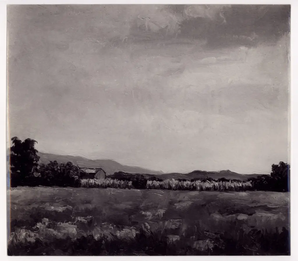 Anonimo , Ziveri, Alberto - sec. XX - Paesaggio friulano , fronte