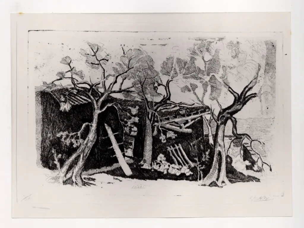 Anonimo, Anonimo , fronte