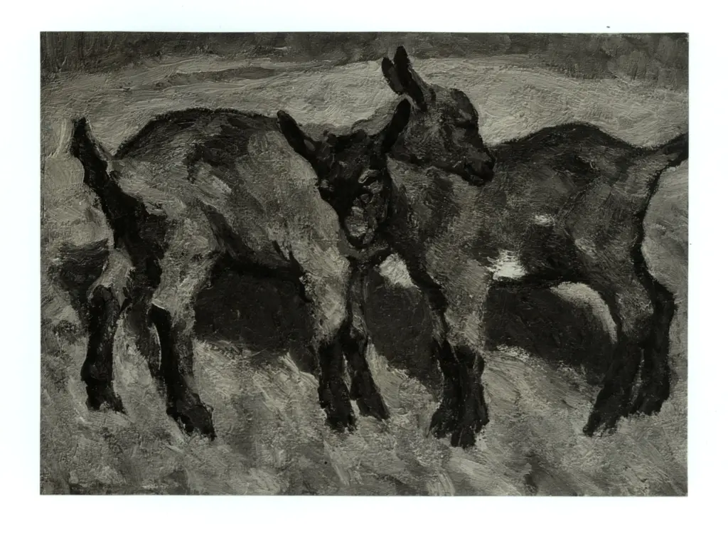 Anonimo , Einberger, Andreas - - , fronte