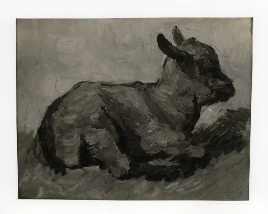 Anonimo , Einberger, Andreas - - , fronte