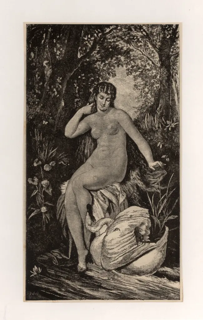 Anonimo , Felix, E - - , fronte