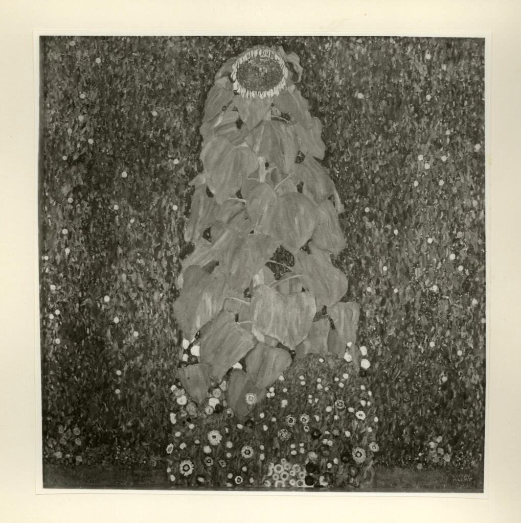 Giacomelli , Klimt, Gustav - sec. XX - Girasole , fronte
